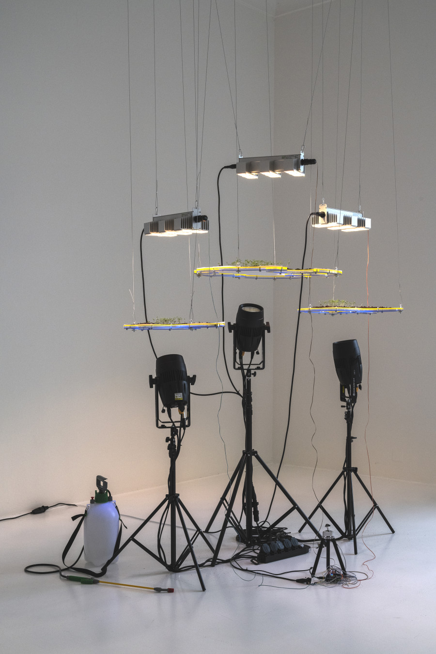Kunststipendien der Stadt Zürich 2021, Helmhaus Zürich_Foto Zoe Tempest