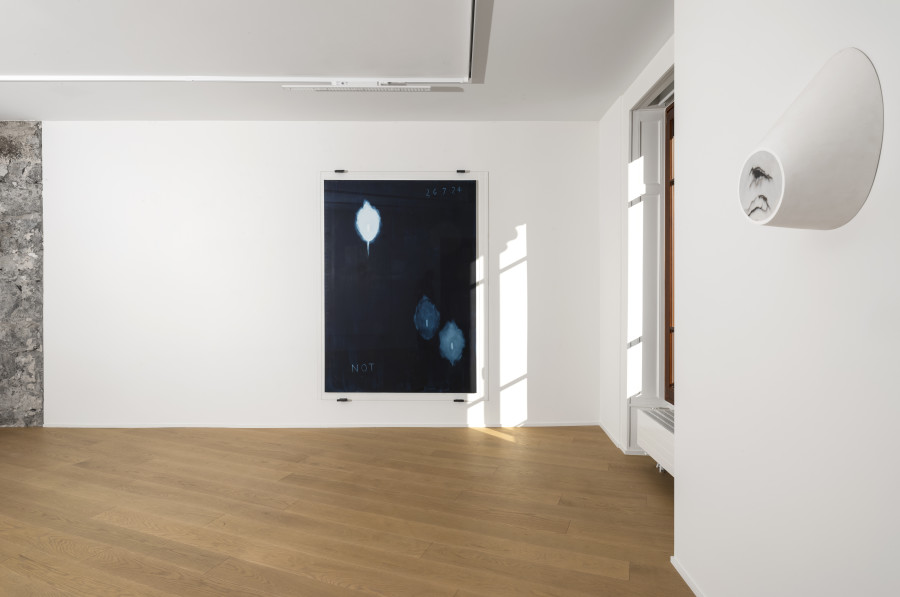 Exhibition view, Not Vital, The Self, Wilde, 2025. Photo credit: Studio Eric Bergoend. Courtesy Not Vital et Wilde