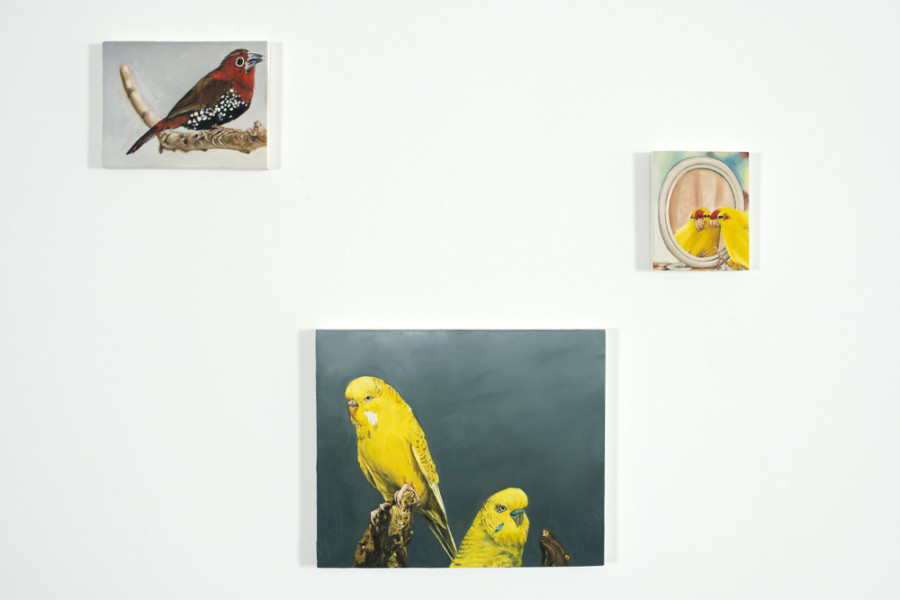 Léopold Rabus: Les propriétés des choses, exhibition view, Wilde, Geneva, 2021 © Photo: Greg Clément. Courtesy the artist and Wilde