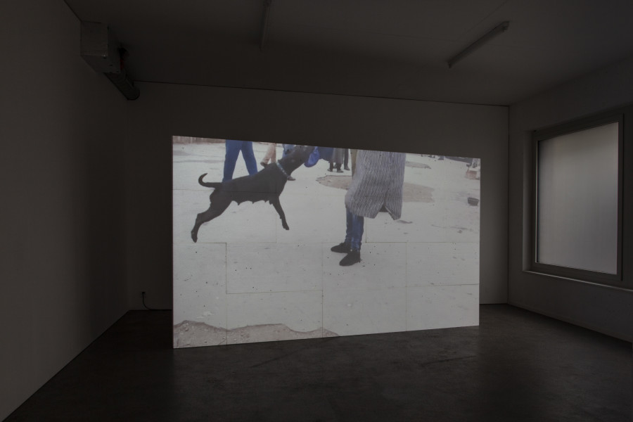 Exhibition view, d.e.d. world, 2022, HD video, color, sound, 16 secs (loop), projection on 14 Styrofoam panels, 2 x 3.5m, buttermilk on windows. Espace 3353, 2022. All credits to ©Anastasia Mityukova
