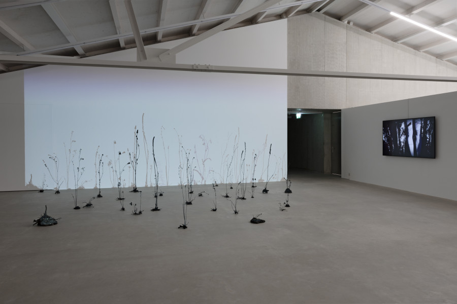Ursula Palla, EMPTY GARDEN 3, 2022. Courtesy the artist; Judith Albert, Wolfstunde, 2009. Courtesy the artist. Ausstellungsansicht / Installation view Kunsthaus Baselland 2024. Foto / Photo: Gina Folly