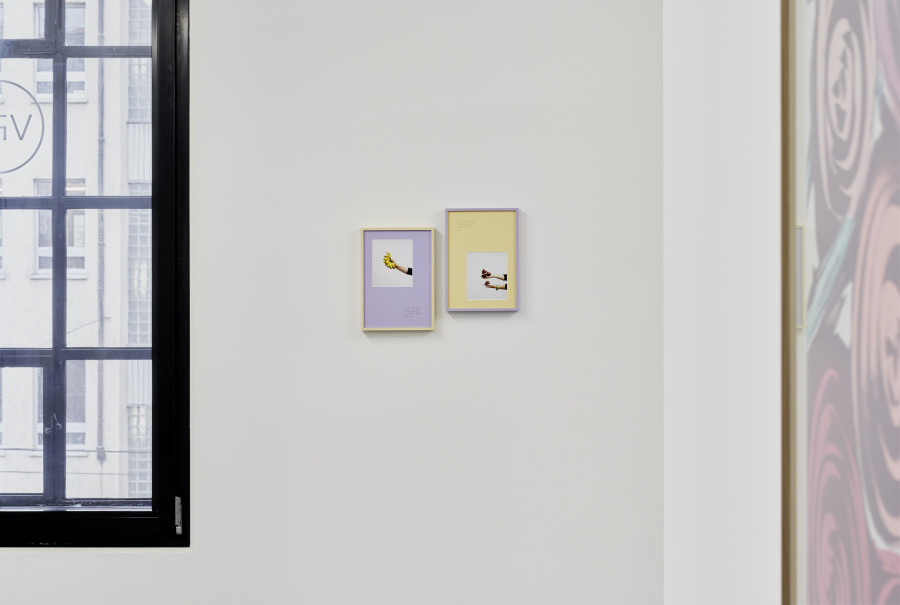 Installation view, Gardens of Dreams, Edition VFO, 2025. Photography by Bernhard Strauss