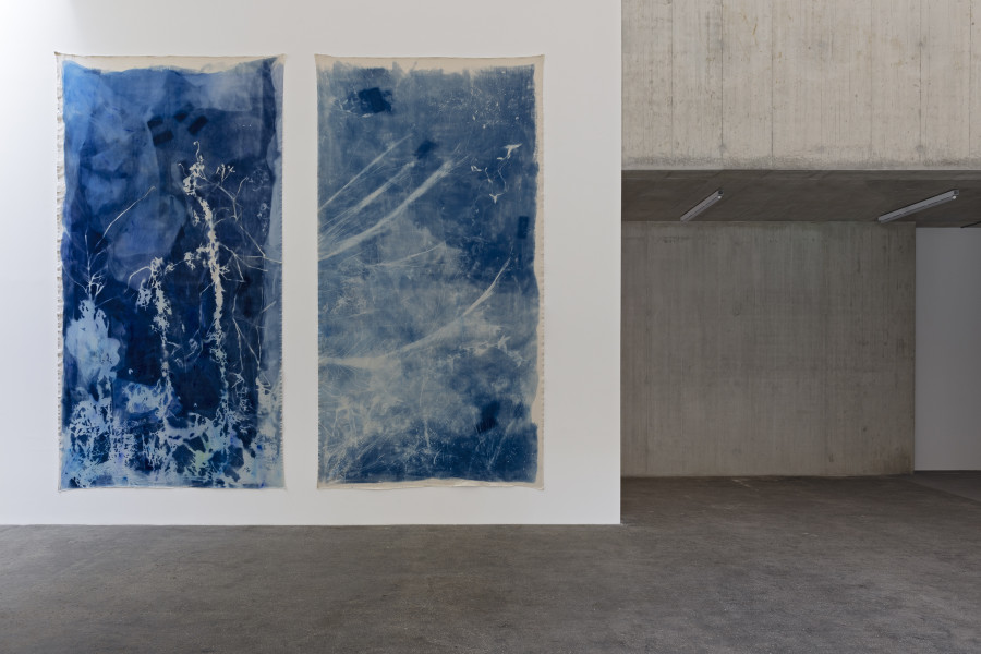 Lena Laguna Diel: De quien sembramos las semillas (From whom we sow the seeds), 2025. Courtesy of the artist. Ausstellungsansicht / Installation view Kunsthaus Baselland 2025. Foto / Photo: Gina Folly