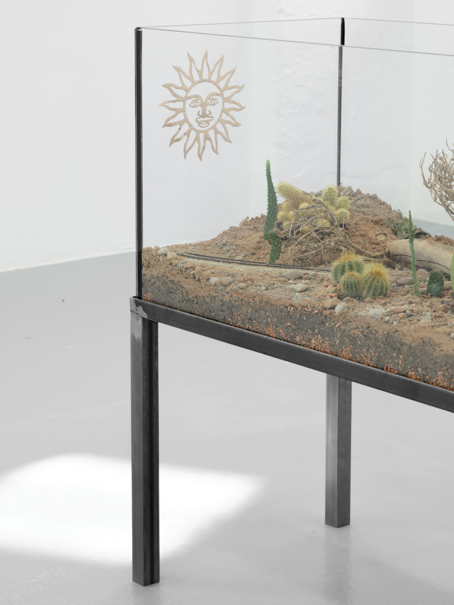 Leonardo Bürgi Tenorio, mirando el reflejo de nuestra sombra (la selva), 2023