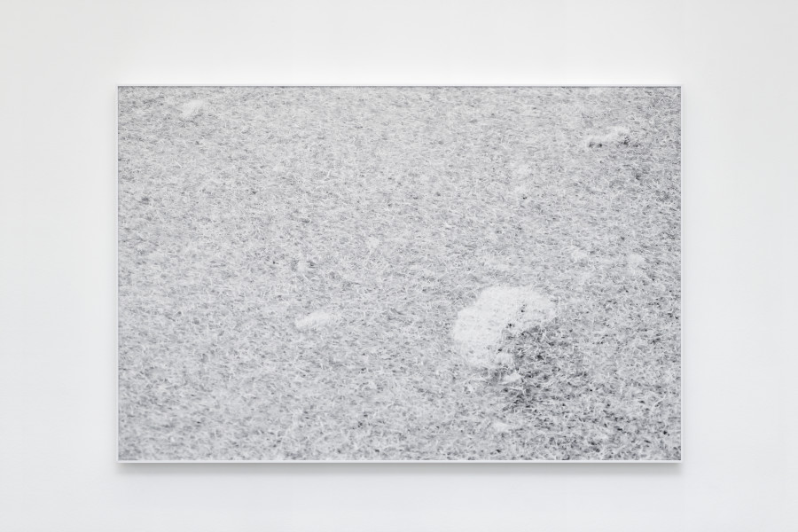 Exhibition view, Laurie Dall'Ava, Emerald Green Pigment, Villa du Parc, 2024. Photo credit: Aurélien Mole