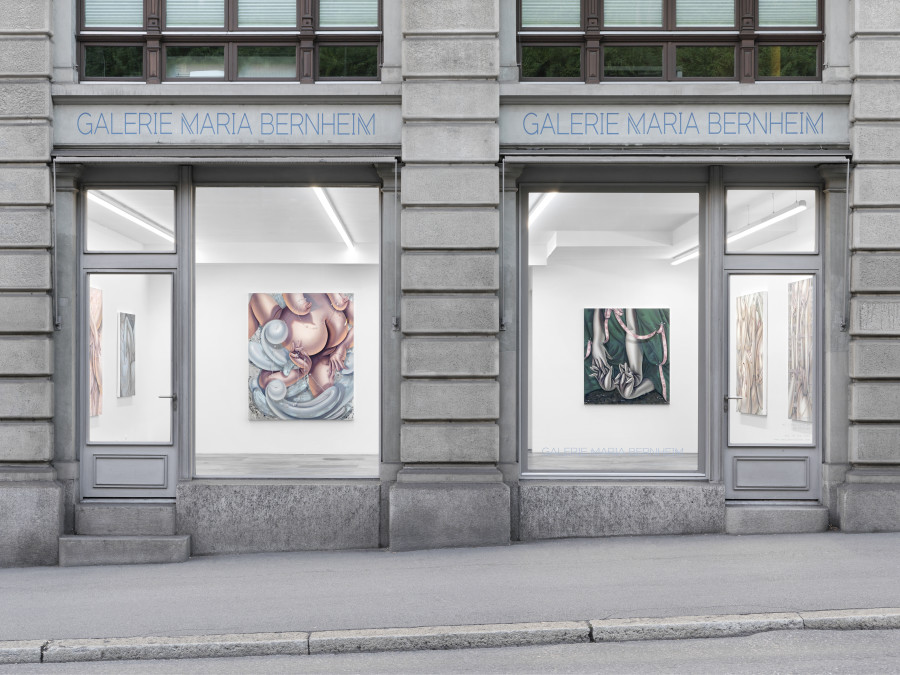 Exhibition view, Sarah Slappey, Tenderizer, Bernheim Gallery, 2020. Photo Credit: Annik Wetter.