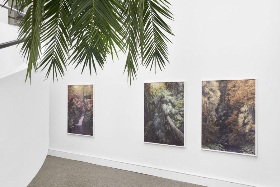 Exhibition view, Yann Gross, Greetings, Wilde, 2024. Photo credit: Philipp Hänger