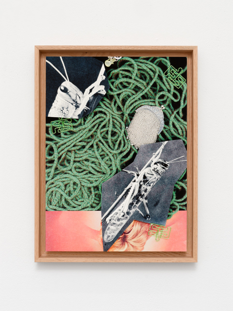 Hippolyte Hentgen, Fabule (le canari), en collaboration avec Christian Bernard, vue de l’exposition « Chambre à deux lits » à la Villa du Parc - centre d’art contemporain - Aurélien Mole, 2025 Hippolyte Hentgen, Fabule (le grillon), en collaboration avec Christian Bernard, vue de l’exposition « Chambre à deux lits » à la Villa du Parc - centre d’art contemporain - Aurélien Mole, 2025