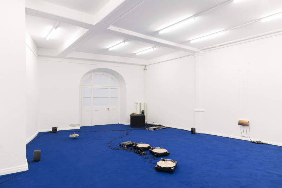 Installation view, SOMA1, Monika Stalder, KRONE COURONNE, 2024. Photo credit: © Michal Florence Schorro