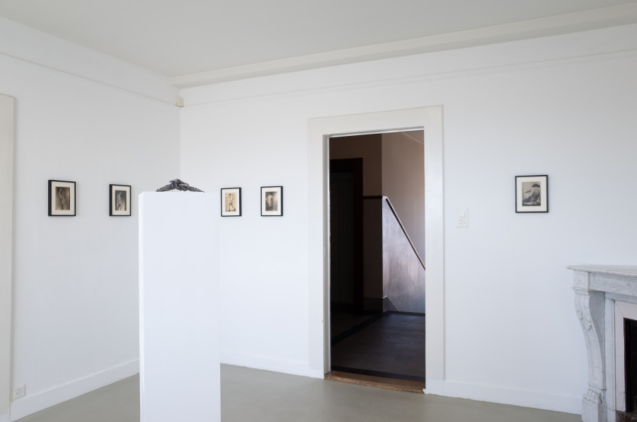 Iouri Podladtchikov & Elio Luxardo: You're Probably Right,Exhibition view, 2023, The Lighthouse, Photo credit: Iouri Podladtchikov.