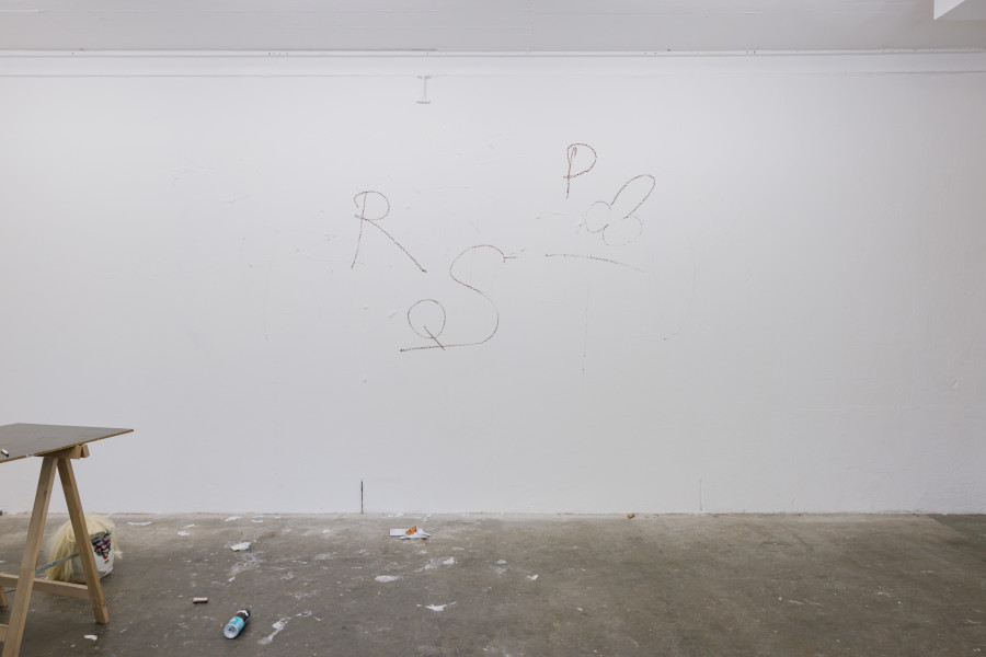 Exhibition view, Nelson Schaub, Platon est mort,  2025 / Photo : Julie Folly / Courtesy : the artist and WallStreet