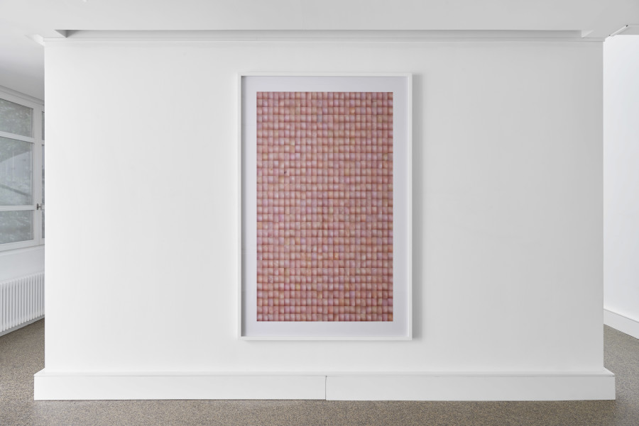 Exhibition view, Rafael Lozano-Hemmer, EXCUSE YOU!, Wilde, 2022. Photo: Philipp Hänger