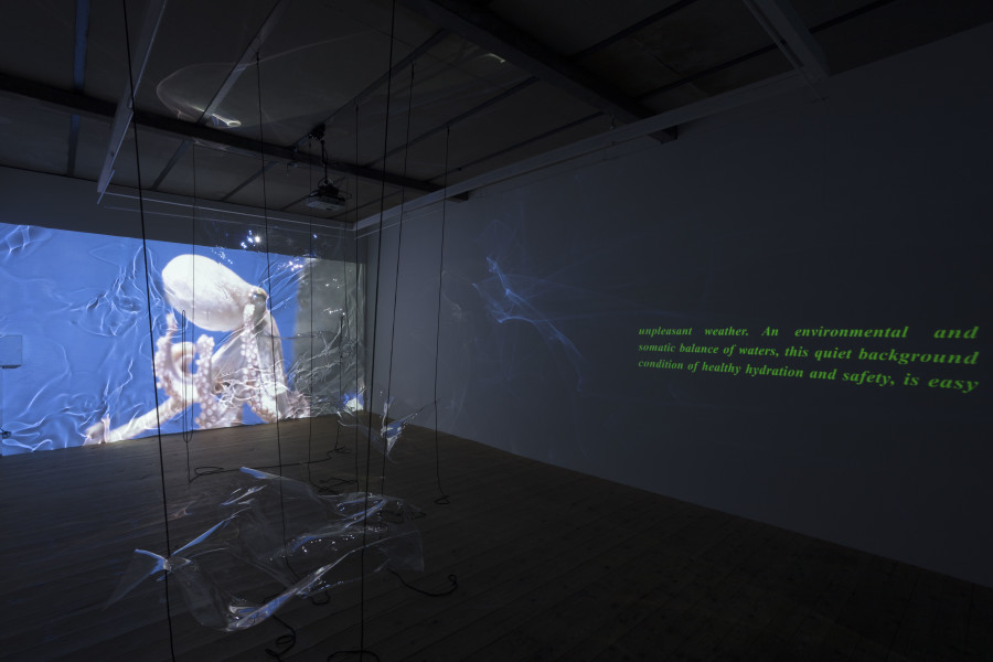 Exhibition view, Riikka Tauriainen – Intimacy of Strangers, sic! Elephanthouse, 2020-2021. Photo credit: Andri Stadler