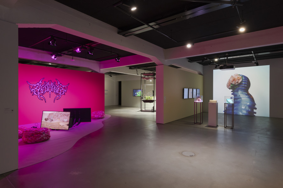 Exhibition view «Other Intelligences», 2025, HEK, photo: Franz Wamhof
