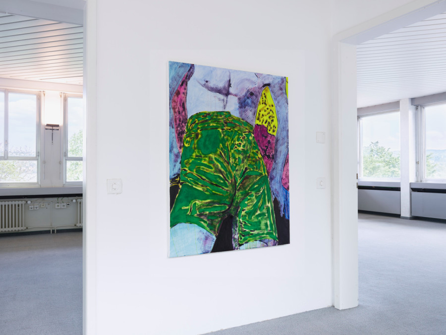 Installation view, unconcealed sensitivities, flatmarkus, 2024. Photo credit: flatmarkus & Felix Jungo
