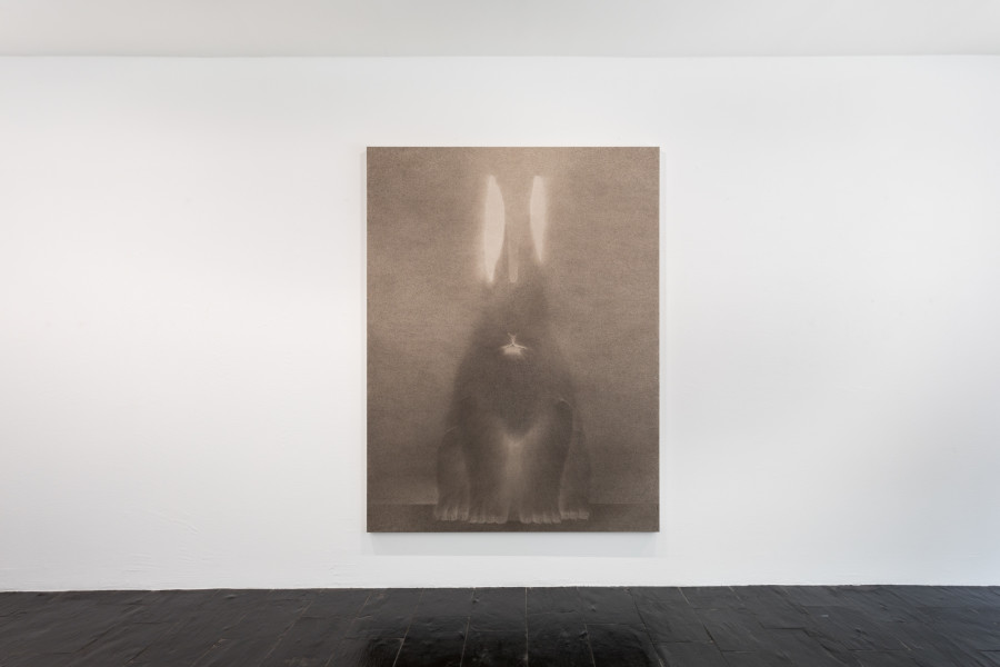 Exhibition view, Shao Fan, Galerie Urs Meile, 2024.