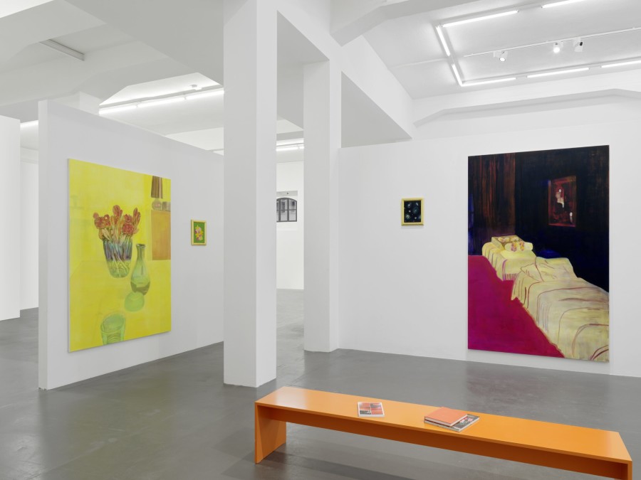 Installation view of Caro Niederer, Slowed down, Barbara Seiler.