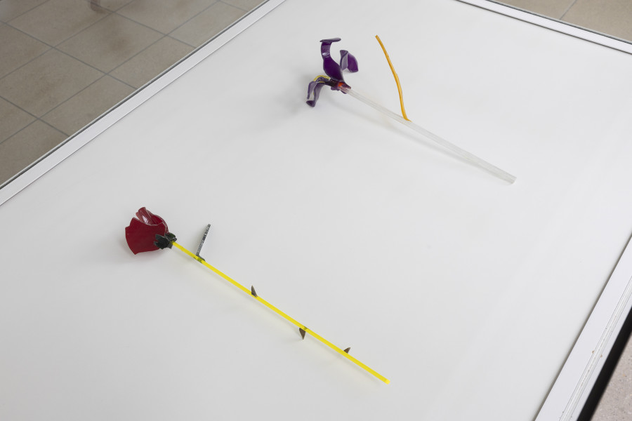 Linda Bilda, Die goldene Welt, installation view, Kunsthaus Glarus, 2025. Photo: Gina Folly. Blumen, o. D., Plexiglass, bent ca. 40 x 13 cm (each), Estate Linda Bilda