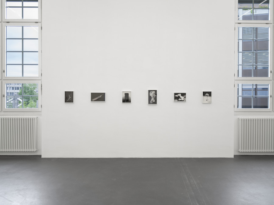 Installation view, Dietrich, curated by Anne Pontégnie, Galerie Francesca Pia, Zurich, 2024. Photo: Cedric Mussano