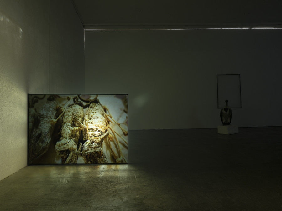 Installation view, Roman Selim Khereddine, Hard-Won Images 2, Tunnel Tunnel, 2022. Photo: Julien Gremaud