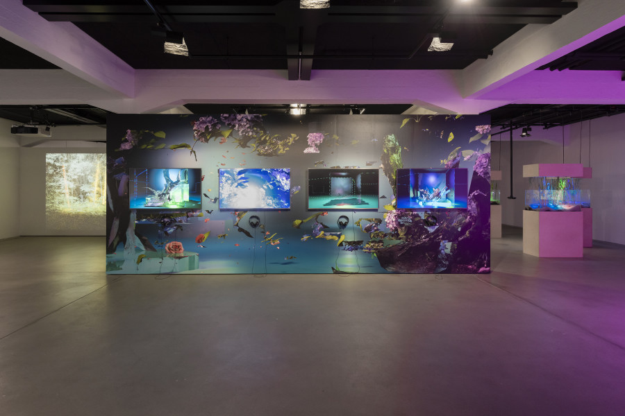 «Earthbound – In Dialogue with Nature», Installation view, 2022, HEK, Photos: Franz Wamhof.