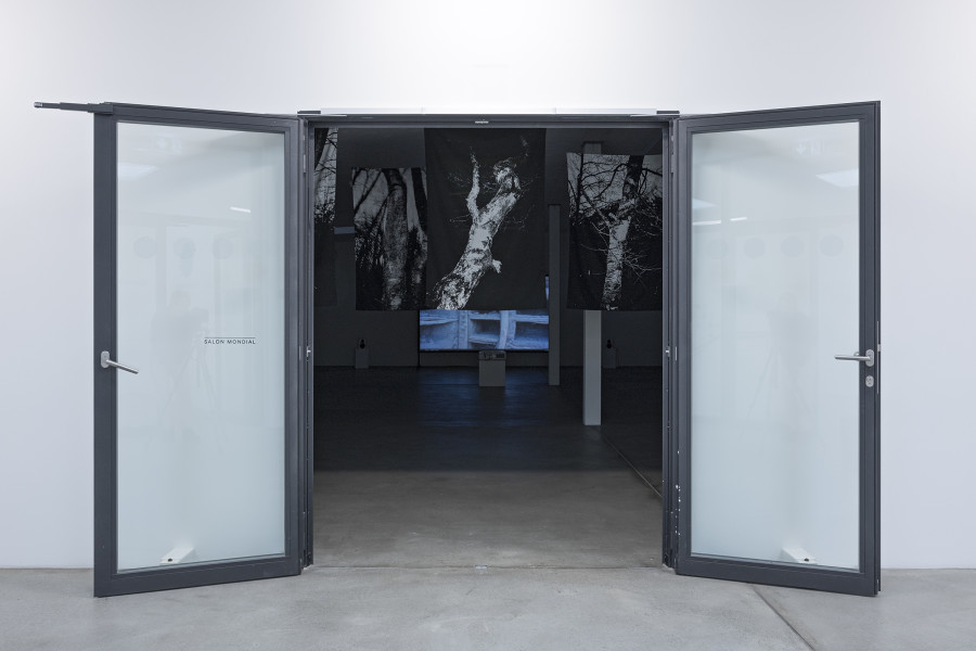 Georg Gatsas, Alberi I–VIII, 2024. Courtesy the artist. Ausstellungsansicht Kunsthaus Baselland 2025. Foto: Gina Folly