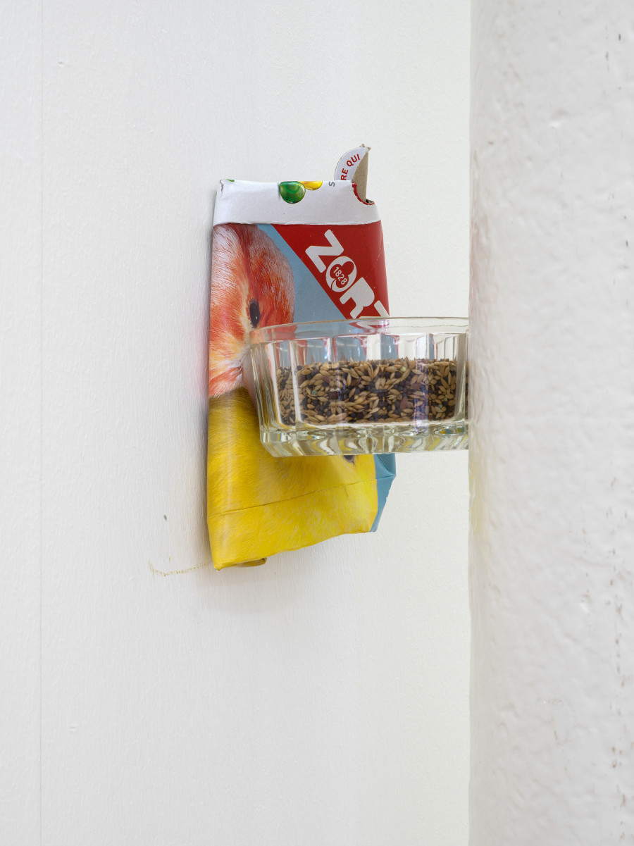 Jason Dodge, detail view, Kunsthalle Friart Fribourg, 2026. Photo: Cedric Mussano