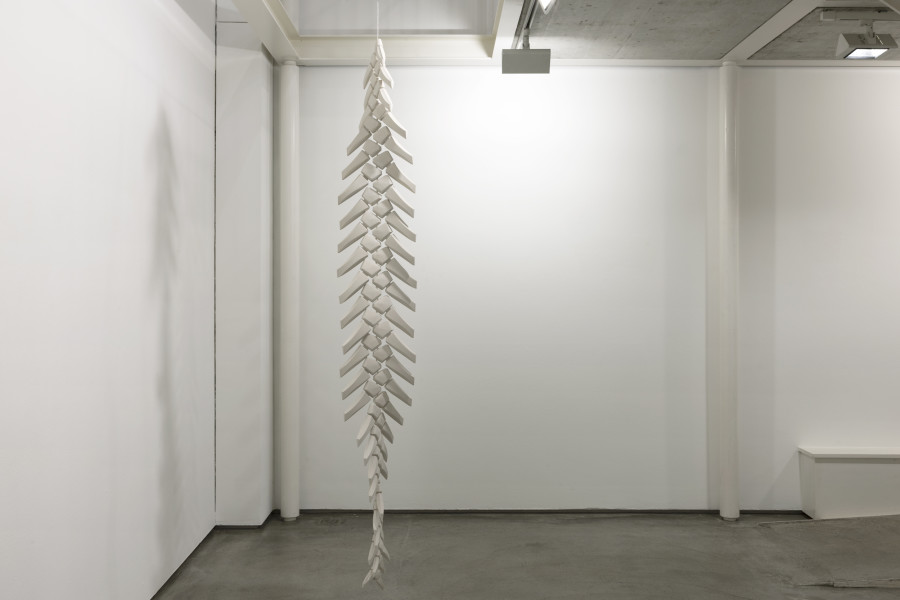 Vanessa Billy, Fishbones (Flax), 2021, 3D-Druck in biologisch abbaubarem Kunststoff (Flachs), Silikon, Draht / 3D print in biodegradable plastic (flax), silicone, wire, 260 x 42 x 5 cm, Kunst Raum Riehen, 2024. Courtesy the artist. Photo: Gina Folly