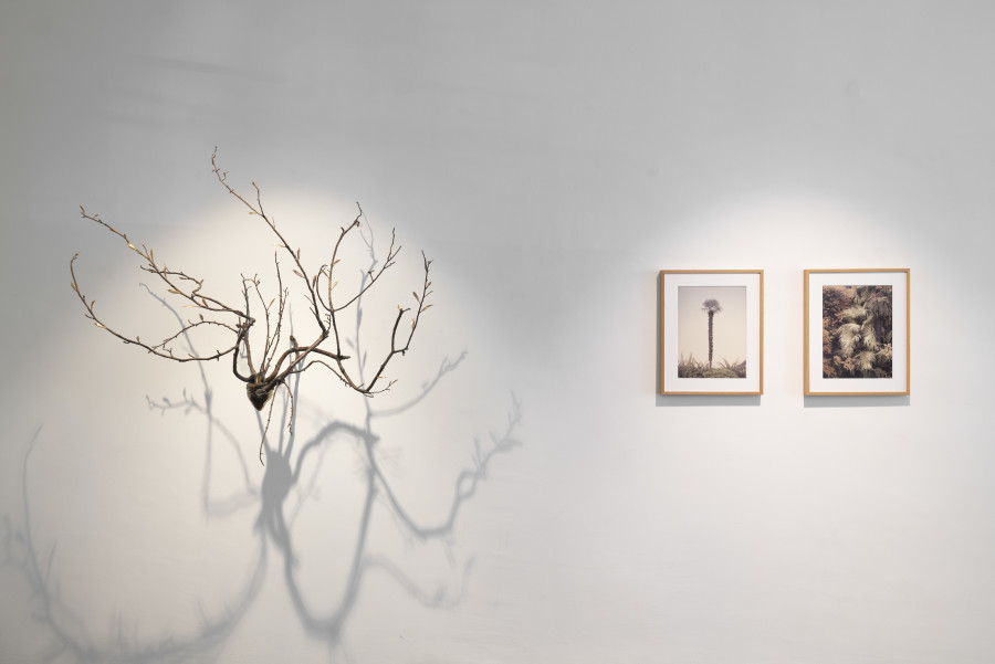 Exhibition view, Group Show: État des lieux, Wilde, 2023. Photo: Eric Bergoend