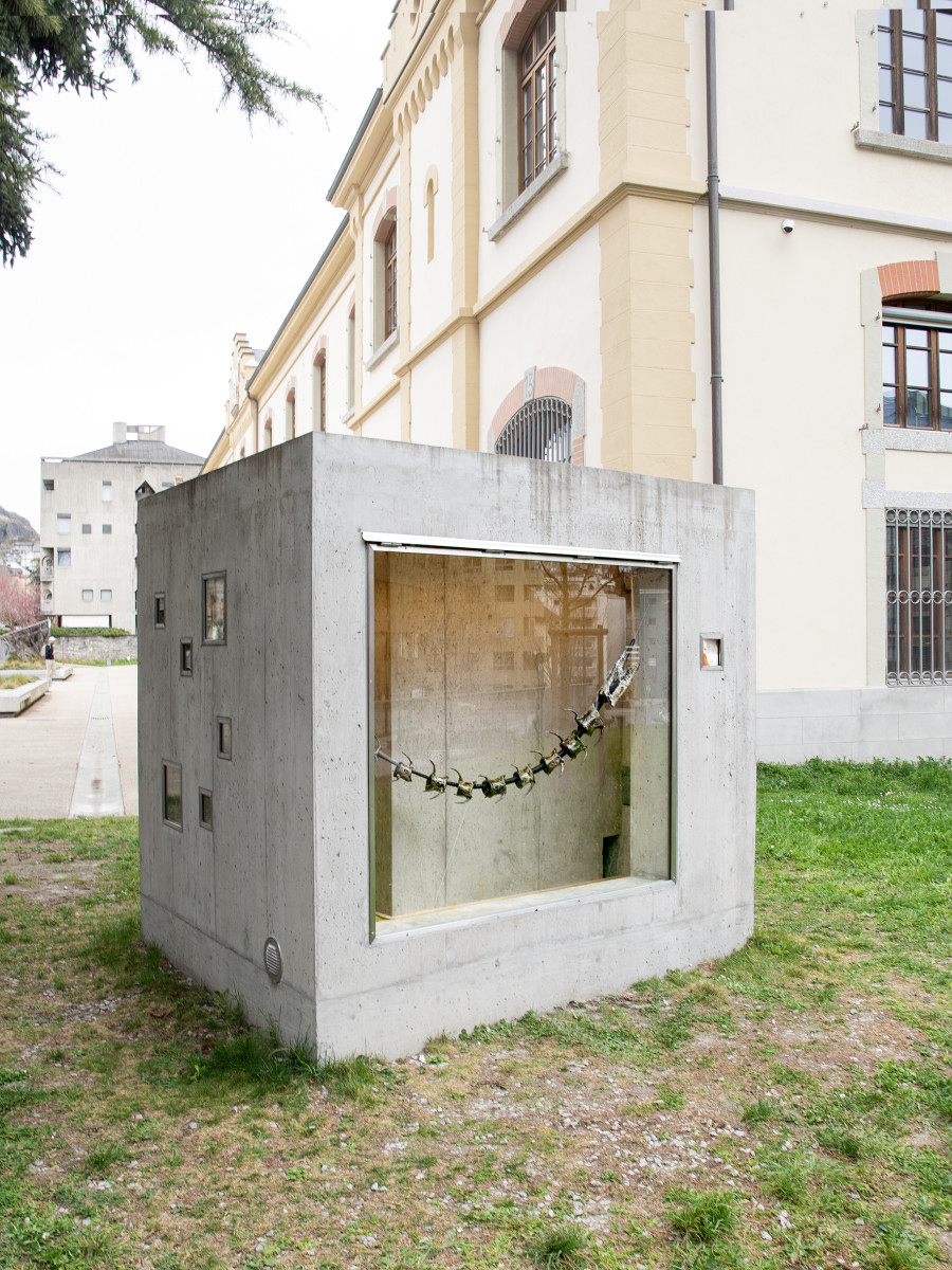 Installation view, Yan Tomaszewski, La Correction, Lemme, Sion, 2025.