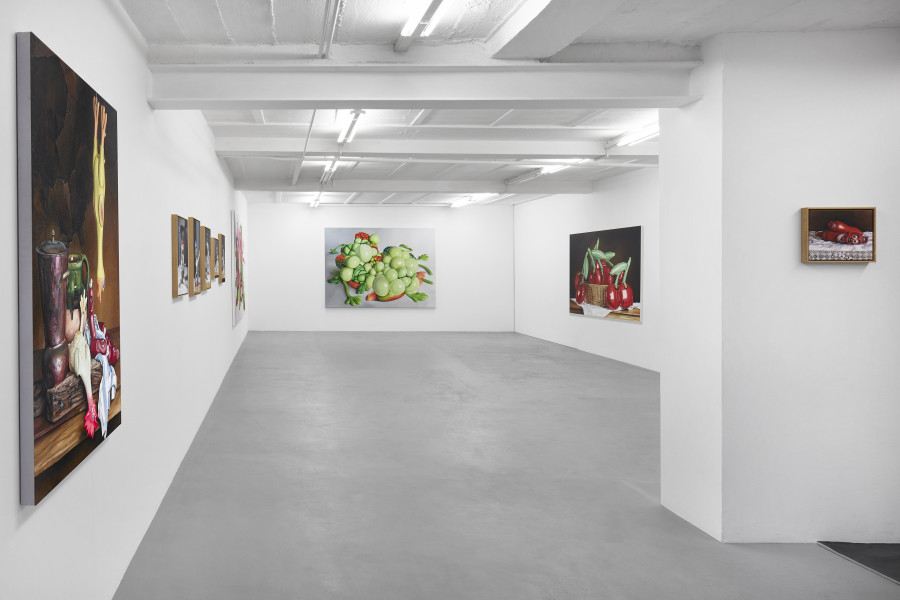 Exhibition view, Till Rabus, Cartoon, galerie lange + pult, Auvernier, 2025. Photo credit: Sully Balmassière