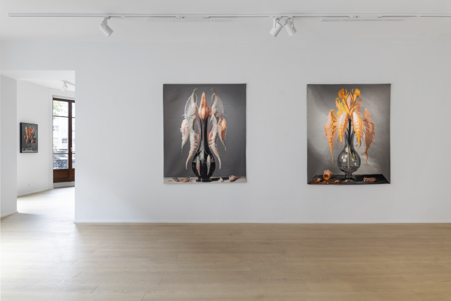 Exhibition view, Mat Collishaw, vivisystems, Wilde, 2024. Photo credit: Eric Bergoend