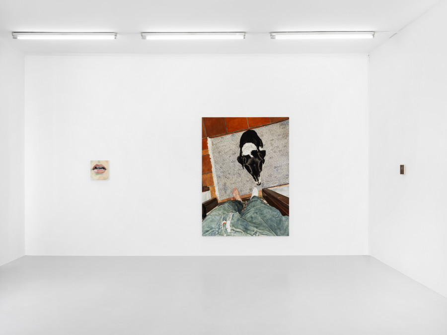 Installation view, Leanne Picthall, I Forgot I'm not Twelve Anymore, Skopia, 2024. Photo credit: Julien Gremaud