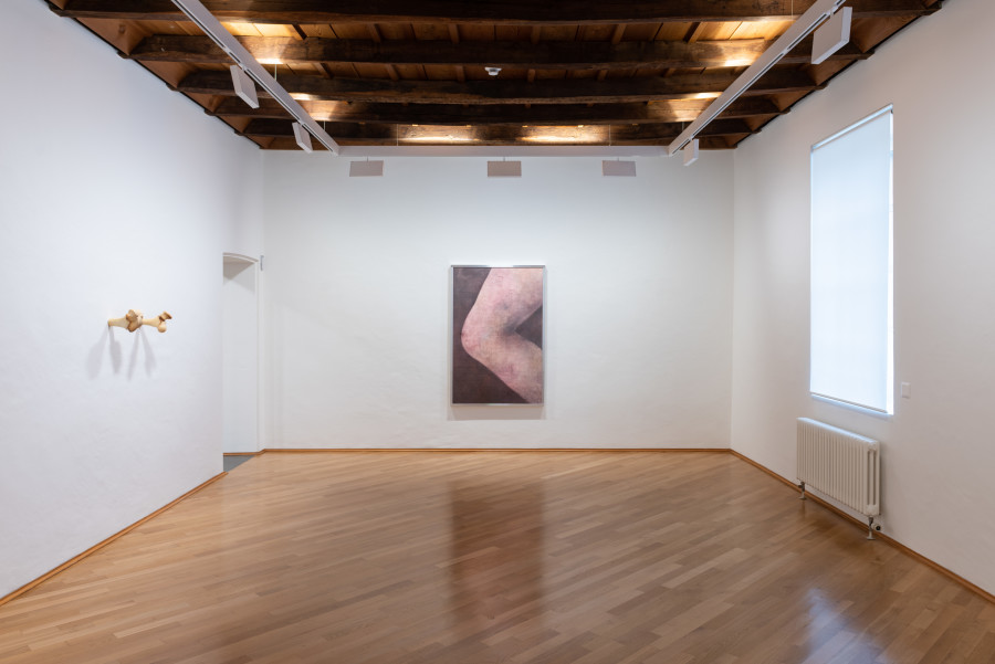 Installation view Lucas Herzig “and often means always”, © MASI Lugano, photo Mattia Angelini