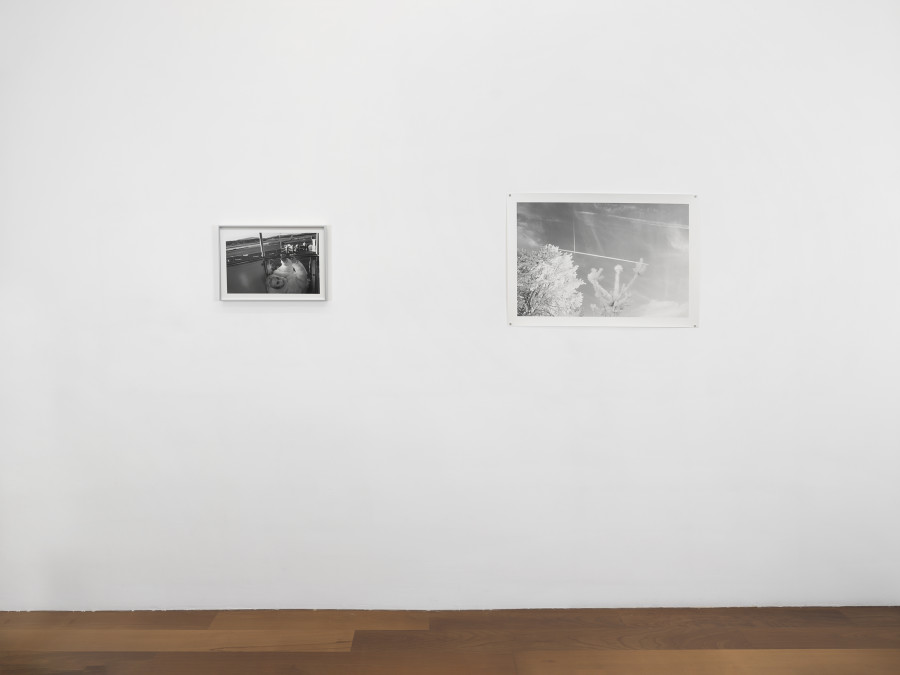 Exhibition view, Critical Girls, xippas, Geneva, 2026. Photo credit: Julien Gremaud. Courtesy Xippas