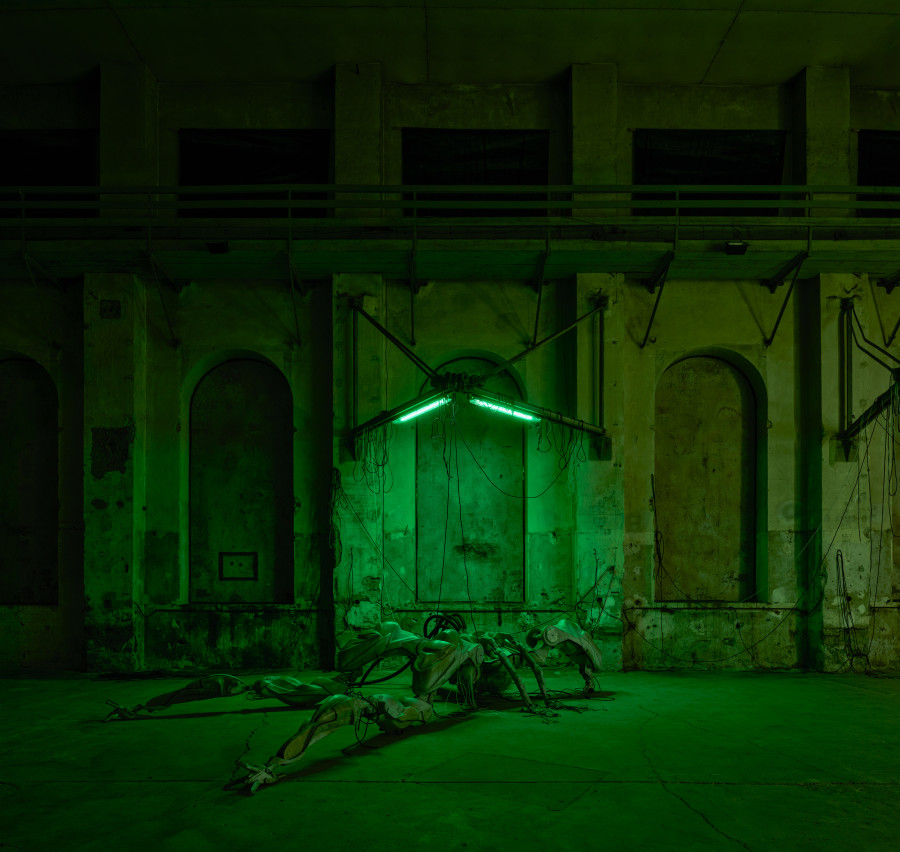 Davide Allieri: 47°24’35’’N / 9°44’20’’E, Kunstraum Dornbirn 2026, Photo Günter Richard Wett, courtesy of the artist/Galerie Hubert Winter
