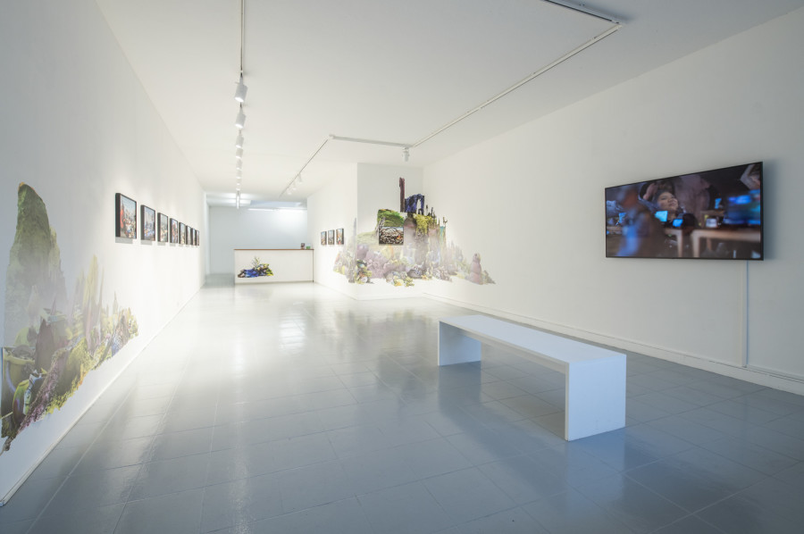 collectif_fact: DISSONANCE, Exhibition view. Photo: Greg Clément