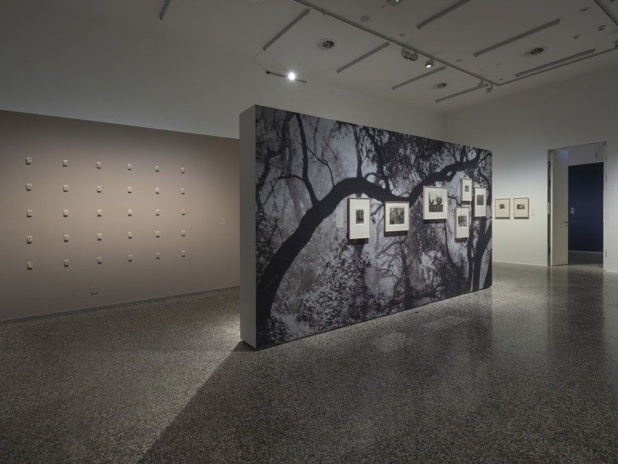 Guardians of Silence, Exhibition View, 2023, Musée Jenisch Vevey. © Musée Jenisch Vevey, photographie Julien Gremaud