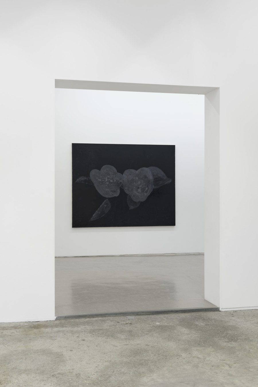 Exhibition view, Günther Wizemann, Oil Colour for Artists, Galerie Mark Müller, 2024. Copyrigh: the photographer Conradin Frei, the artist Günther Wizemann and the gallery.
