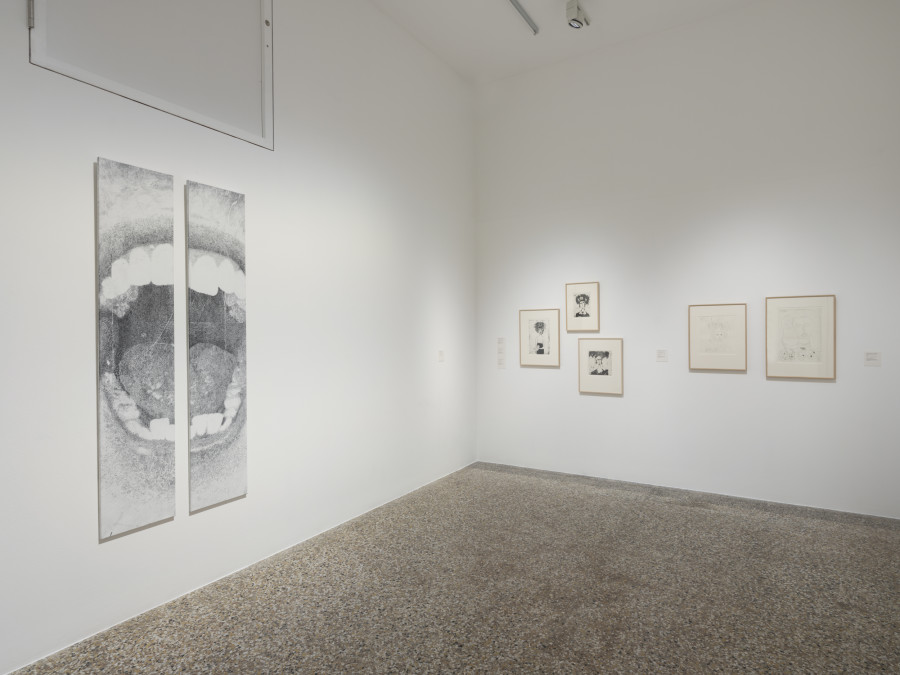 Exhibition view, Noémie Doge, Musée Jenisch Vevey, 2024. Photo credit: Julien Gremaud