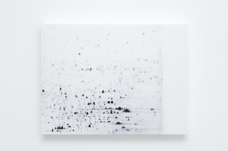 Exhibition view, Laurie Dall'Ava, Emerald Green Pigment, Villa du Parc, 2024. Photo credit: Aurélien Mole