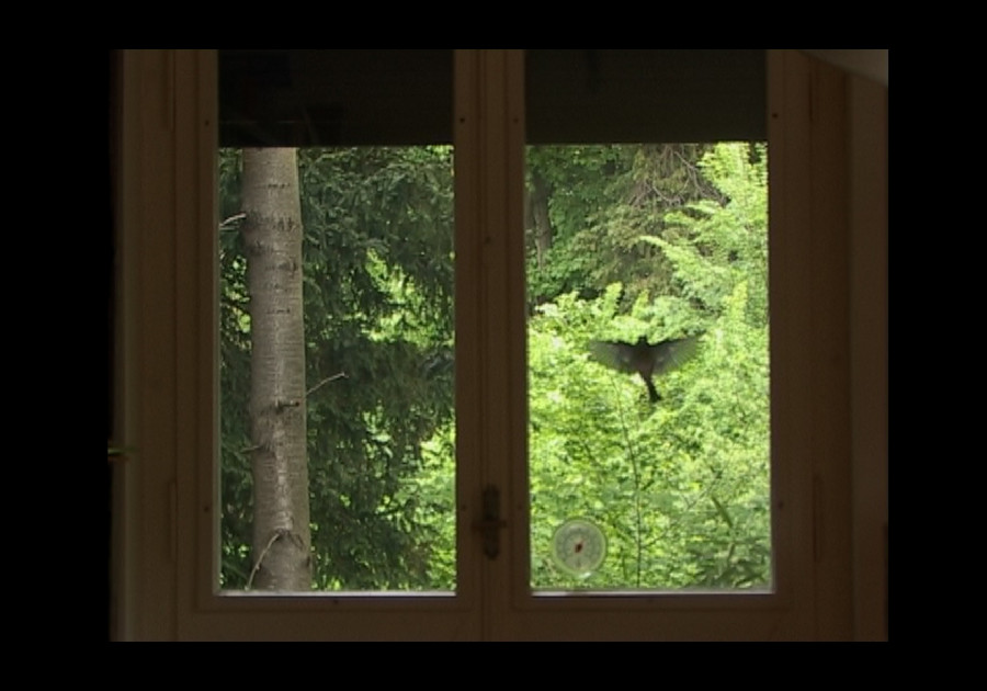 Aleksandra Signer, Am Fenster, 2006 (video still), Kunstmuseum Liechtenstein, Vaduz © Aleksandra Signer