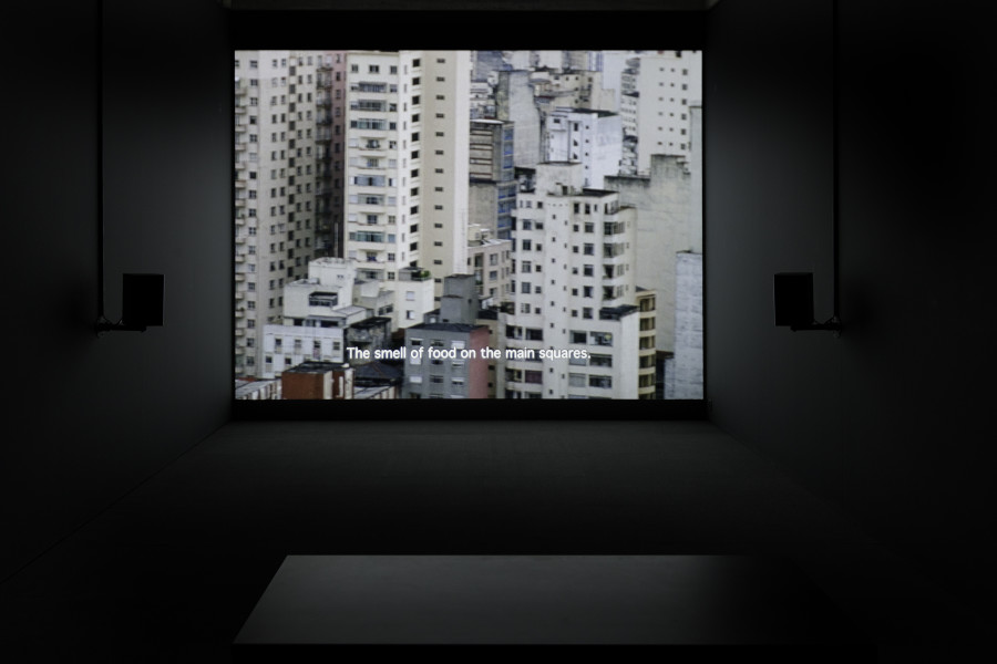 Manon de Boer, Resonating Surfaces, 2005, Courtesy the artist and Jan Mot, Photo: Stefan Rohner