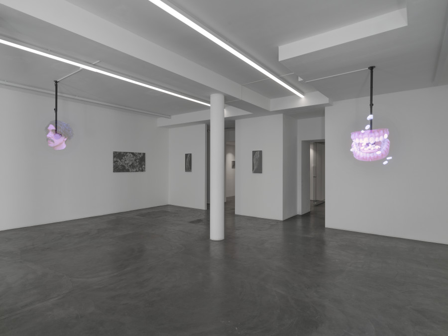 Exhibition view, Juan Antonio Olivares, SELF-PORTRAIT, Bernheim Gallery, 2022.