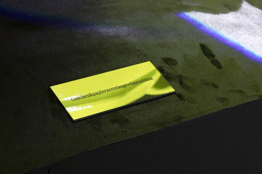 Fritz & Virginie Sistek, Priscilla Predator: geboren, leben, sterben, 2025, an automated theater play, 32 minutes, For, Basel. Photography: Gina Folly. Copyright and courtesy of the artists and For, Basel