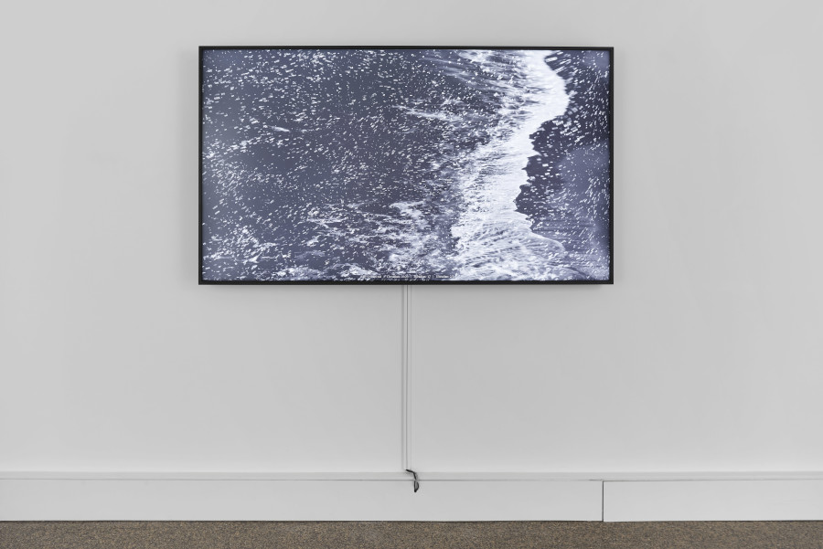 Exhibition view, Rafael Lozano-Hemmer, EXCUSE YOU!, Wilde, 2022. Photo: Philipp Hänger