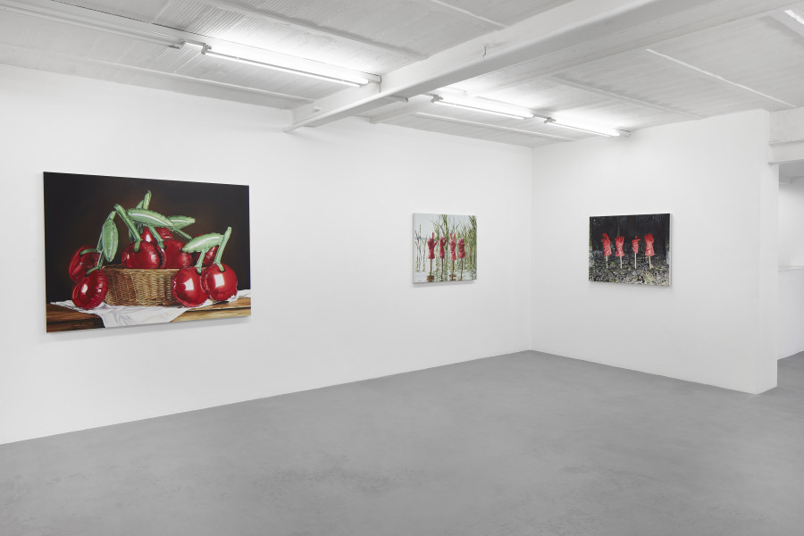 Exhibition view, Till Rabus, Cartoon, galerie lange + pult, Auvernier, 2025. Photo credit: Sully Balmassière