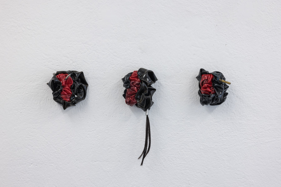 Nahuel Mendez, El misterio de la seducción II, 2024 / Photo : Julie Folly / Courtesy : the artist and WallStreet