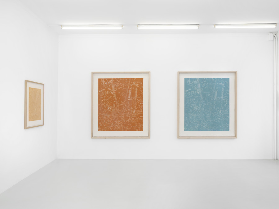 Franz Gertsch, vue de l’exposition, 2023, galerie SKOPIA/ P.-H. Jaccaud. Photos: Julien Gremaud, © Skopia