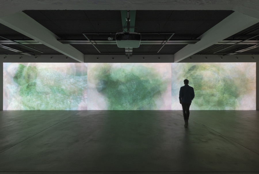 Libby Heaney, slimeQrawl, 2023, «Libby Heaney: Quantum Soup», 2024, HEK, photo: Franz Wamhof